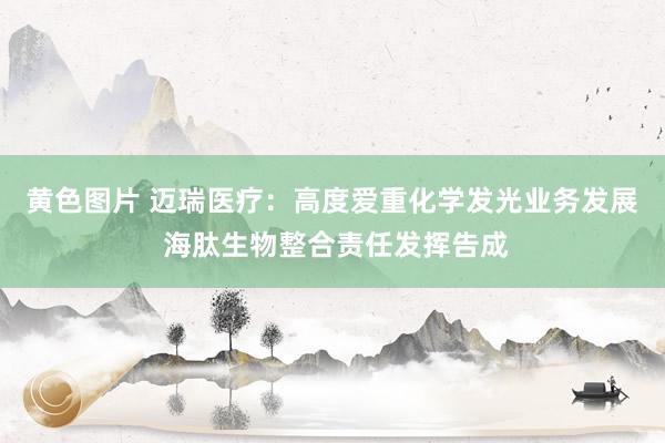 黄色图片 迈瑞医疗：高度爱重化学发光业务发展 海肽生物整合责任发挥告成