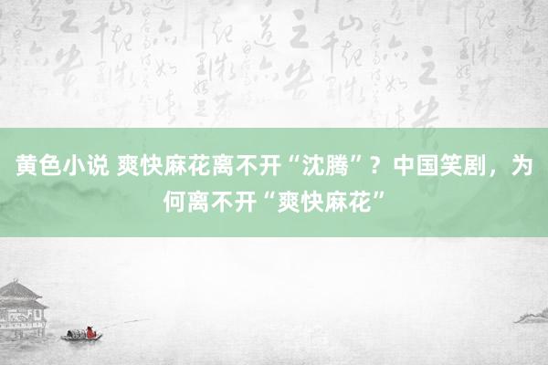 黄色小说 爽快麻花离不开“沈腾”？中国笑剧，为何离不开“爽快麻花”