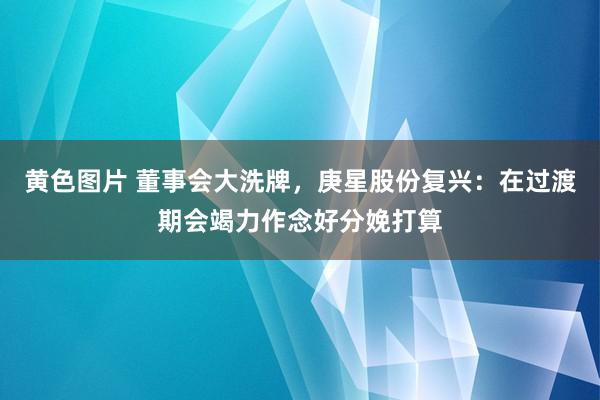 黄色图片 董事会大洗牌，庚星股份复兴：在过渡期会竭力作念好分娩打算