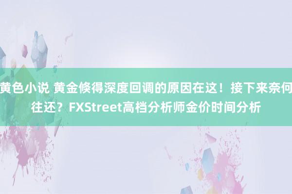 黄色小说 黄金倏得深度回调的原因在这！接下来奈何往还？FXStreet高档分析师金价时间分析