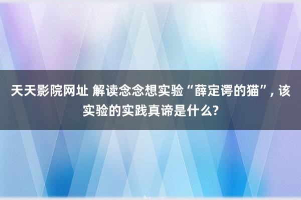 天天影院网址 解读念念想实验“薛定谔的猫”， 该实验的实践真谛是什么?