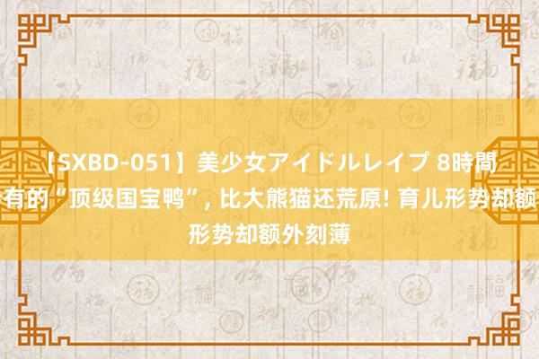 【SXBD-051】美少女アイドルレイプ 8時間 中国特有的“顶级国宝鸭”， 比大熊猫还荒原! 育儿形势却额外刻薄