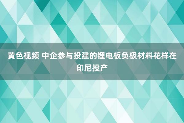 黄色视频 中企参与投建的锂电板负极材料花样在印尼投产