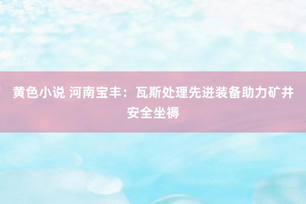 黄色小说 河南宝丰：瓦斯处理先进装备助力矿井安全坐褥