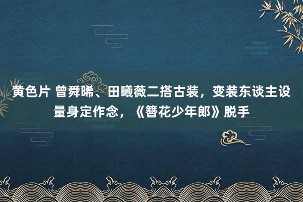 黄色片 曾舜晞、田曦薇二搭古装，变装东谈主设量身定作念，《簪花少年郎》脱手