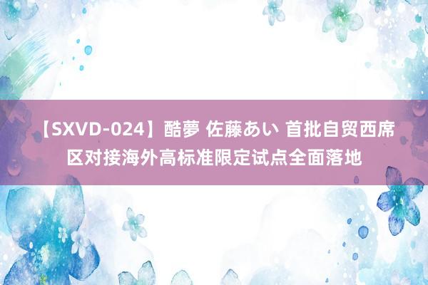 【SXVD-024】酷夢 佐藤あい 首批自贸西席区对接海外高标准限定试点全面落地