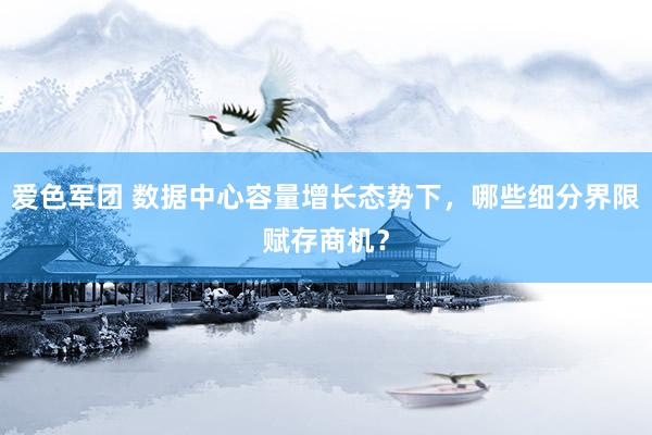 爱色军团 数据中心容量增长态势下，哪些细分界限赋存商机？