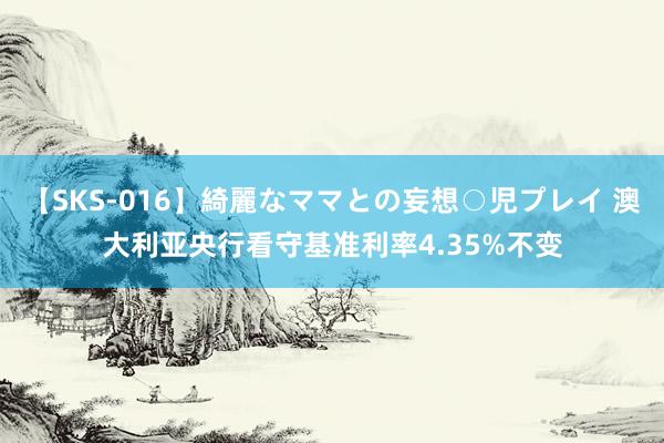 【SKS-016】綺麗なママとの妄想○児プレイ 澳大利亚央行看守基准利率4.35%不变