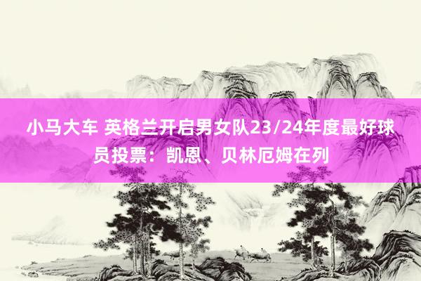 小马大车 英格兰开启男女队23/24年度最好球员投票：凯恩、贝林厄姆在列