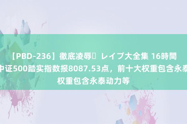 【PBD-236】徹底凌辱・レイプ大全集 16時間 第2集 中证500踏实指数报8087.53点，前十大权重包含永泰动力等