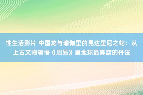 性生活影片 中国龙与瑜伽里的昆达里尼之蛇：从上古文物领悟《周易》里地球最陈腐的丹法