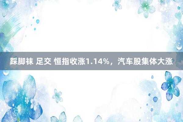 踩脚袜 足交 恒指收涨1.14%，汽车股集体大涨