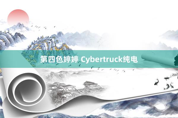 第四色婷婷 Cybertruck纯电