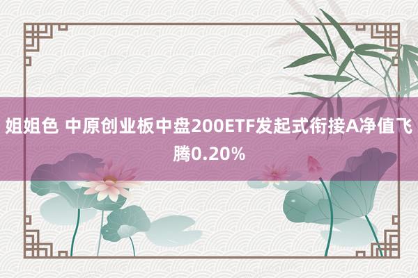 姐姐色 中原创业板中盘200ETF发起式衔接A净值飞腾0.20%