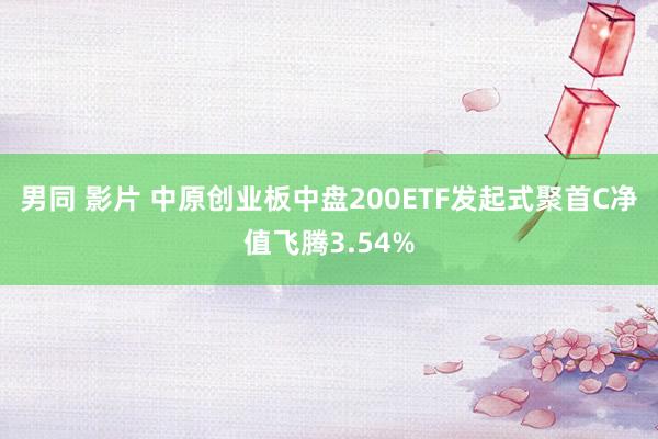 男同 影片 中原创业板中盘200ETF发起式聚首C净值飞腾3.54%