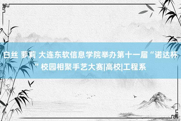 白丝 萝莉 大连东软信息学院举办第十一届“诺达杯”校园相聚手艺大赛|高校|工程系